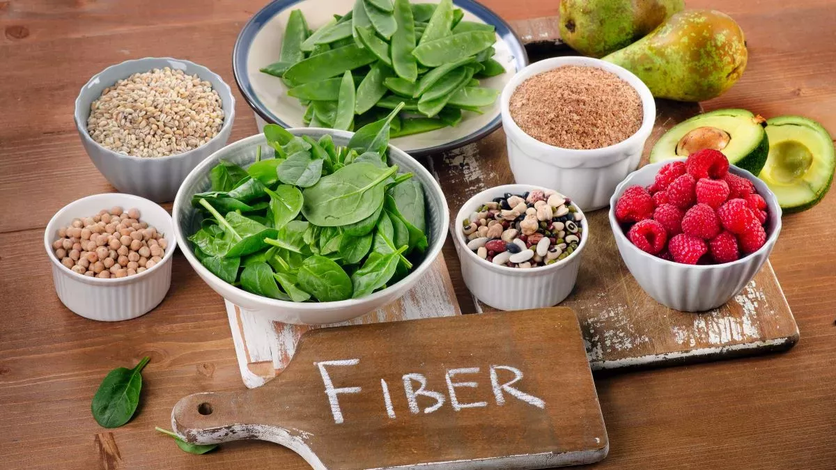 fibers:-why-are-they-essential?