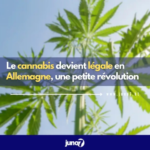 cannabis-becomes-legal-in-germany,-a-small-revolution
