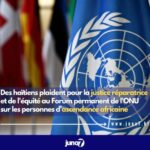 haitians-advocate-for-restorative-justice-and-equity-at-the-un-permanent-forum-on-people-of-african-descent