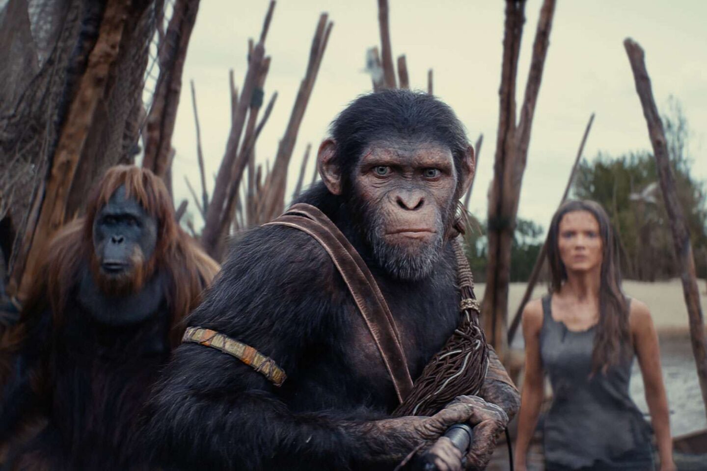 “the-plant-of-the-apes”-climbs-to-the-top-of-the-north-american-box-office