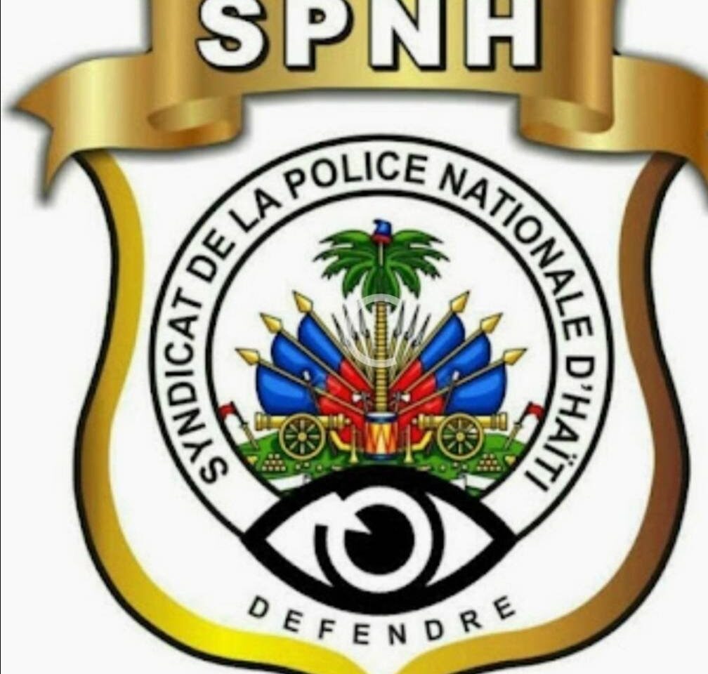 justice-sold-at-auction-in-the-north-|-spnh-17-calls-for-urgent-action-against-judge-alfred