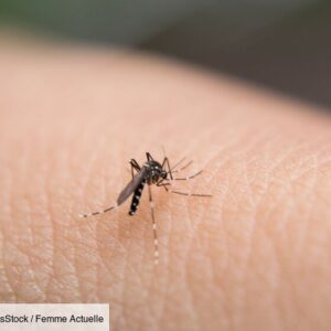 increase-in-cases-of-dengue-fever-before-the-olympics-in-france,-what-measures-are-being-put-in-place?