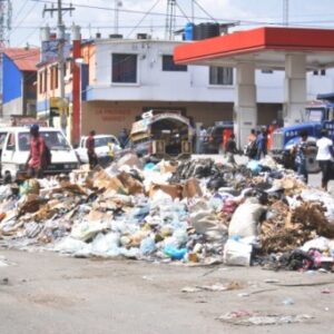 haiti:-the-presidential-transitional-council-promises-12,500-jobs-through-sanitation-in-port-au-prince