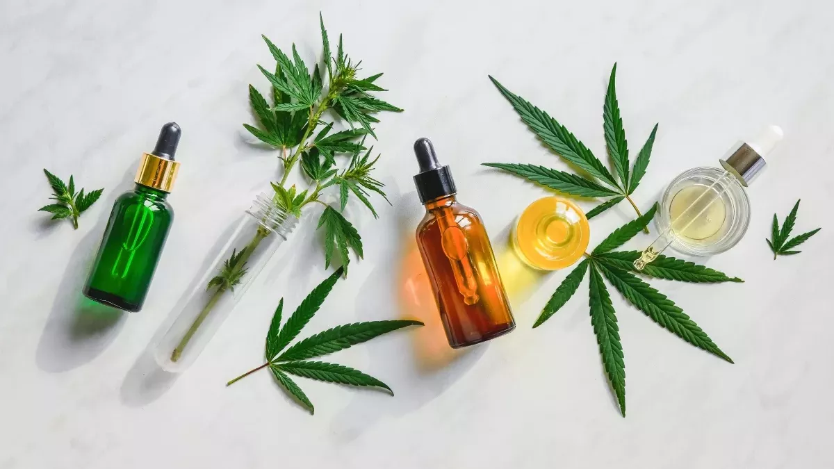 cbd-oil-cure:-5-things-to-know-(before-buying)!