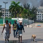 a-new-york-times-article-reveals-the-underlying-story-of-the-haitian-crisis
