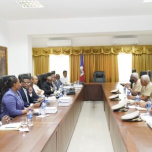 haiti:-the-presidential-transitional-council-is-working-on-the-creation-of-the-national-security-council-(cns)