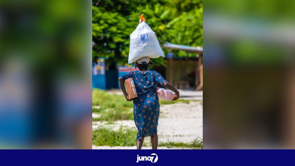 the-haitian-health-foundation-distributed-8,000-food-kits-on-the-occasion-of-jermie-mother’s-day