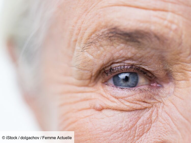 “a-potential-therapeutic-strategy-for-amd”:-this-avenue-studied-by-scientists-to-protect-the-retina-from-decline-linked-to-aging