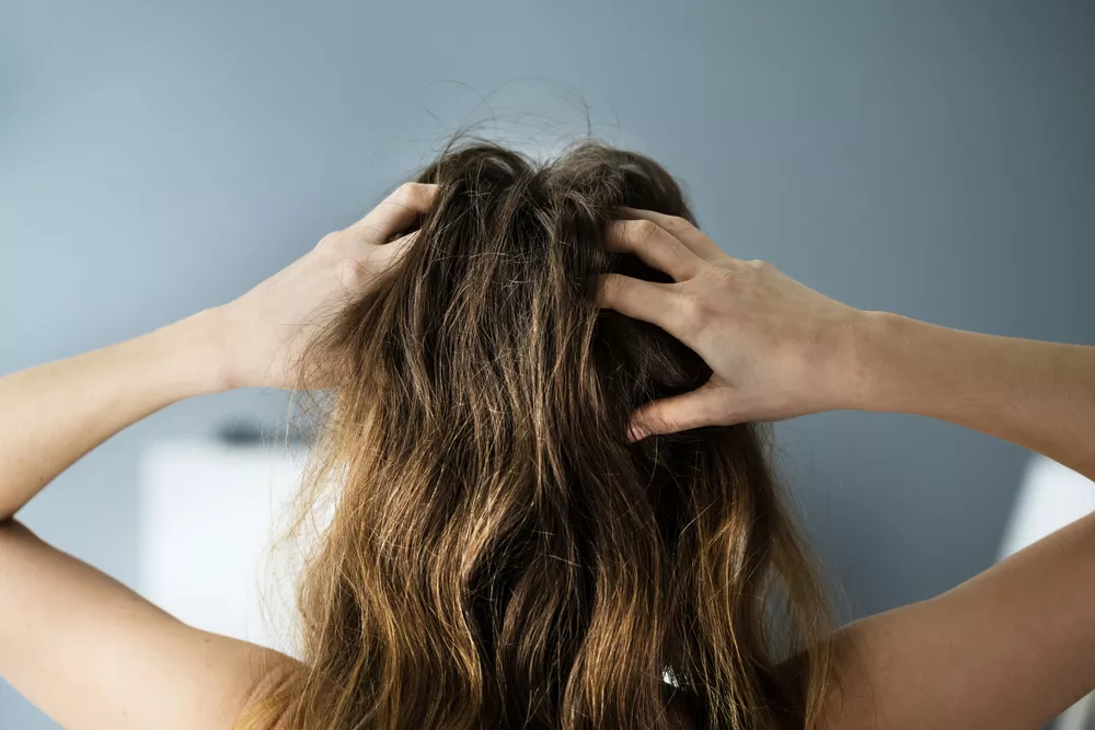 itchy-scalp:-what-are-the-causes?