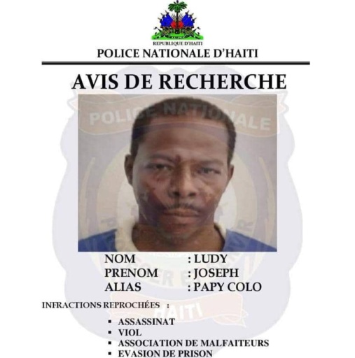 haiti:-arrest-of-a-prison-vad-bound-for-the-united-states