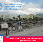 society:-haiti-faces-an-acute-food-crisis-warns-fao