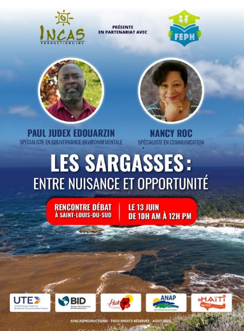 environment:-sargassum-in-haiti,-between-nuisance-and-opportunity