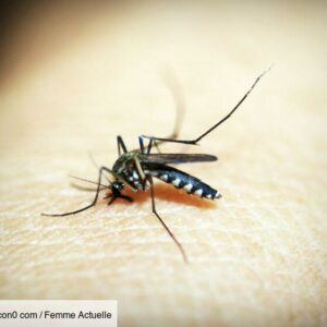 mosquitoes:-how-to-choose-the-best-repellent,-according-to-60-million-consumers