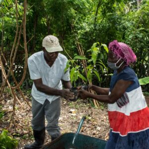lopkendy-jacob:-understanding-haitian-agriculture