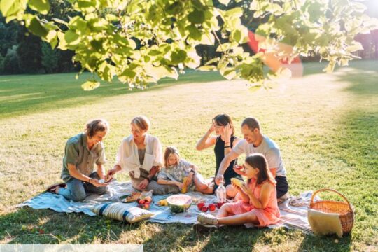 picnic:-expert-advice-to-avoid-food-poisoning-this-summer
